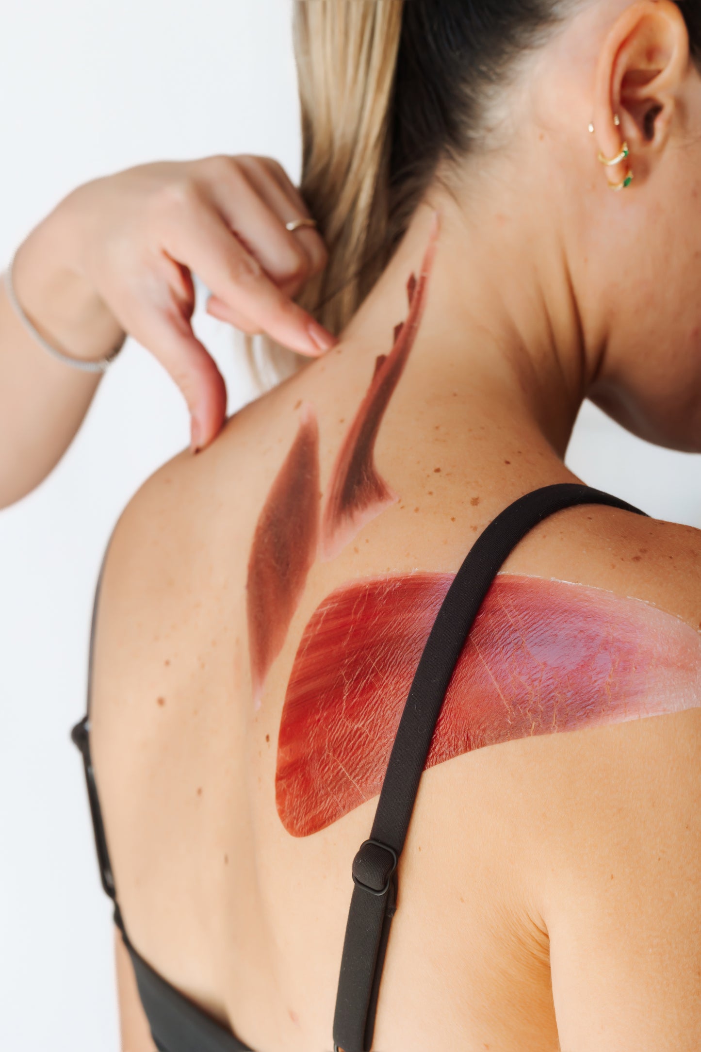 Scapular Muscle Group