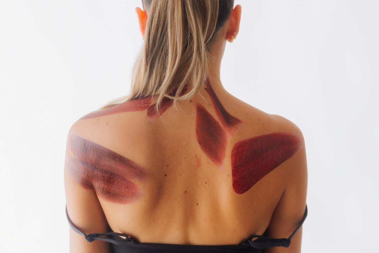 Scapular Muscle Group